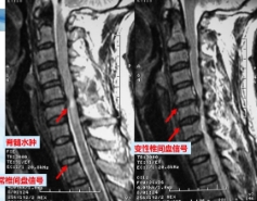 微信截图_20240624113532.png 微信截图_20240624113532.png